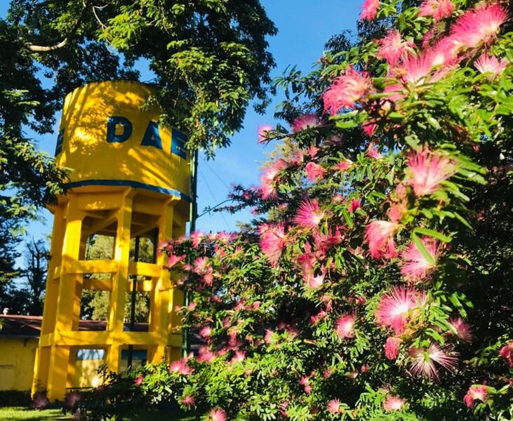 gt-parque-da-hidraulica-inicia-estudos-para-reabrir-parque-a-comunidade