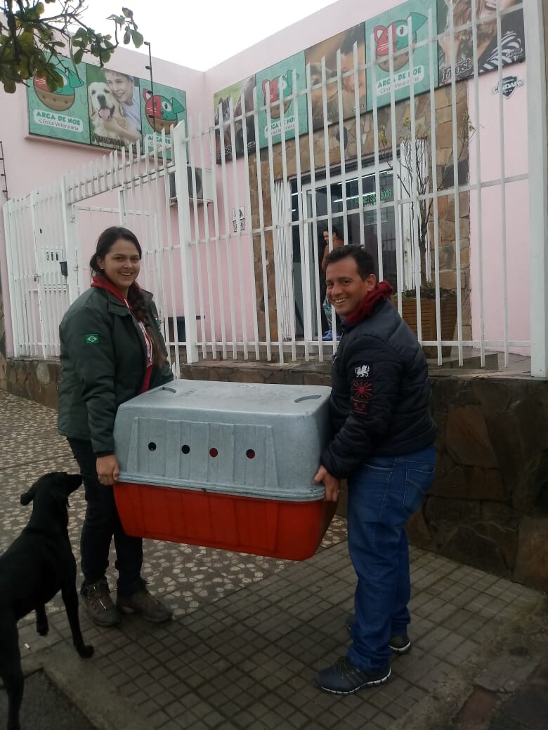 programa-de-controle-de-caninos-tem-inicio-no-municipio
