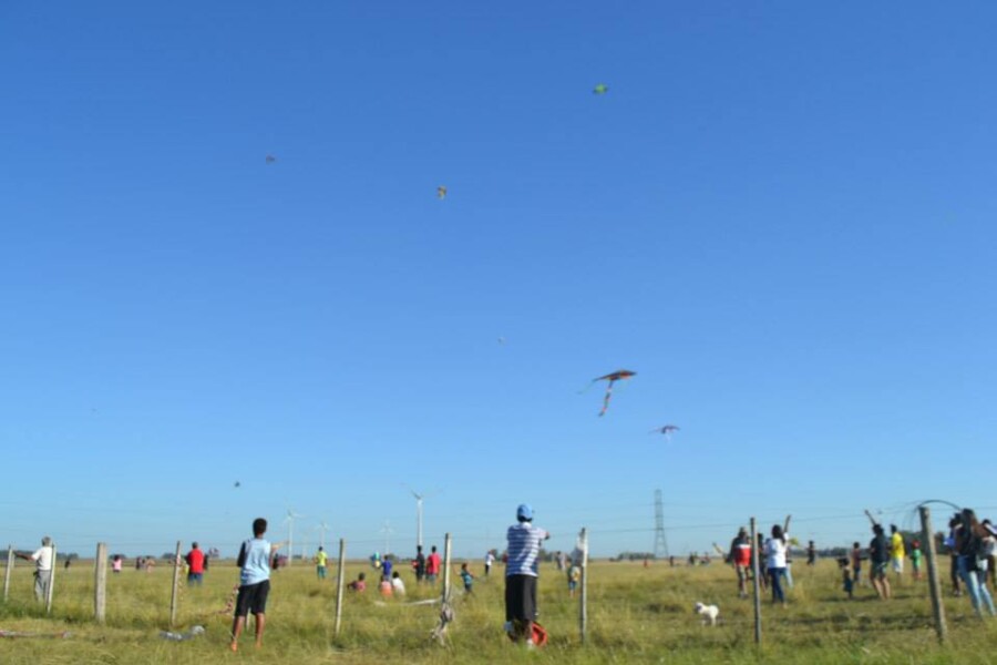 41-festival-binacional-de-pandorgas-acontece-neste-domingo-no-parque-eolico-cerro-chato